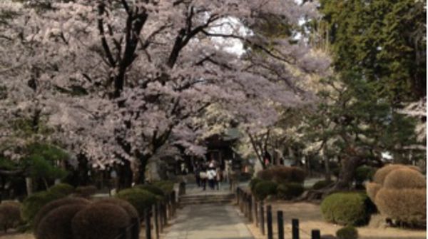 恵林寺 やまなしコンシェル